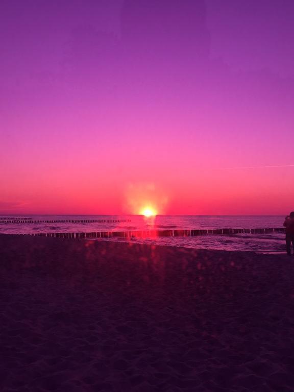 Ferienwohnungen Hofmann Zingst Bagian luar foto